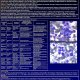 Lavoro di istopatologia ed immunoistochimica sul linfoma presentato all'annuale congresso ESVCP di Londra