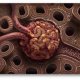 SCREENING DELLA PROTEINURIA NEL CANE (newsletter n5/2018)