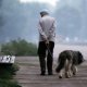 LINEE GUIDA PER UNA CORRETTA GESTIONE DELLANIMALE ANZIANO (newsletter n11/2018)