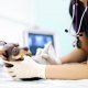 CALCOLI URINARI DA OSSALATO DI CALCIO NEL CANE - PREVENZIONE (newsletter n14/2018)