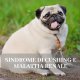 NEFROPATIA E SINDROME DI CUSHING NEL CANE