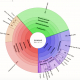 MICROBIOTA INTESTINALE ANIMALE