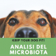 ANALISI DEL MICROBIOTA: QUANDO E' CONSIGLIATO FARE QUESTO ESAME?