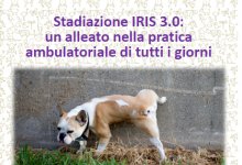 INCONTRI: ACV TRIGGIANO CON ZATELLI A TARANTO