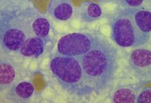 CITOPATOLOGIA