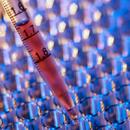 IMMUNOLOGIA